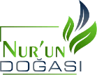 Nur'un Doğası