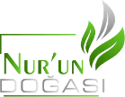 Nur'un Doğası