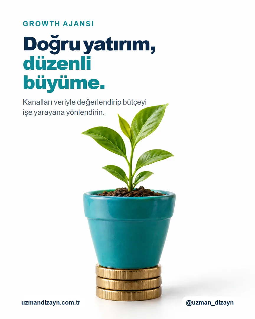 Doğru yatırım, düzenli büyüme: üst üste dizili madeni paralardan filizlenen bitki