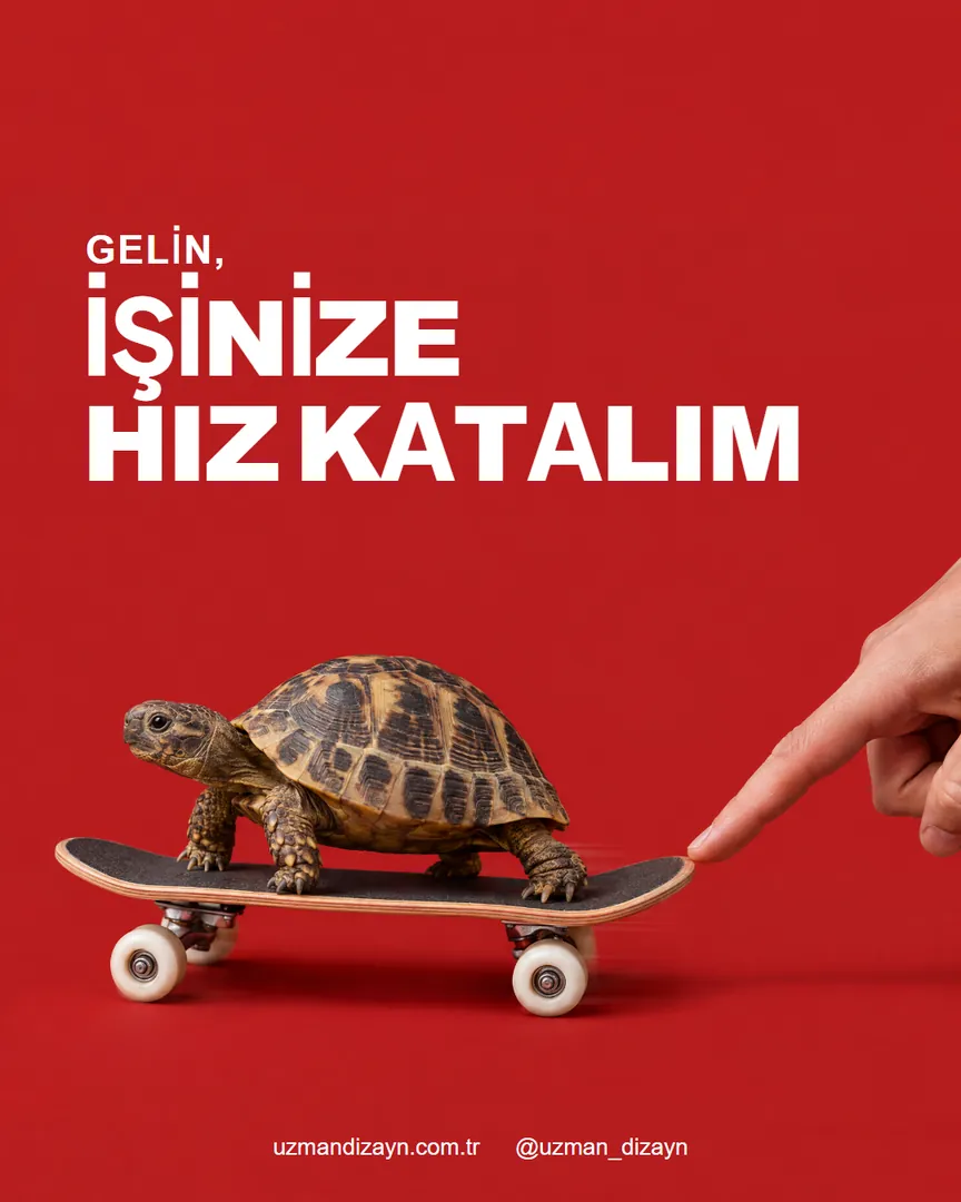 Gelin, işinize hız katalım: kaykay üzerindeki kaplumbağayı iten bir el
