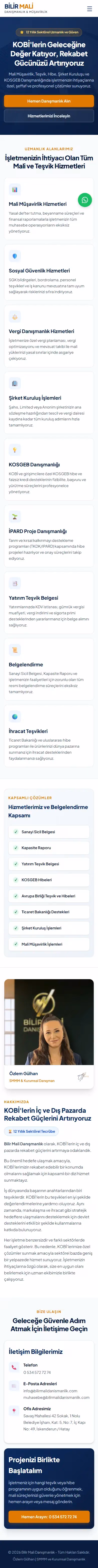 bilirmalidanismanlik.com ana sayfasının tam sayfa ekran görüntüsü